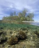 PF Moorea 13 octobre 2012 04